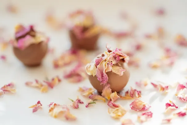 Kasino Vegas Spins Apl Android/iOS